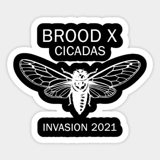 Cicada Brood X 2021 Sticker